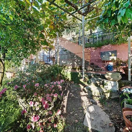 Roses House *