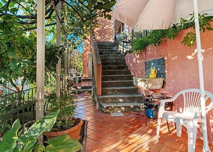 Roses House *