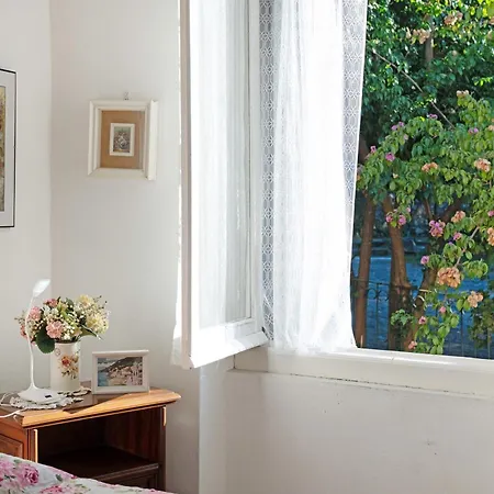 Roses House